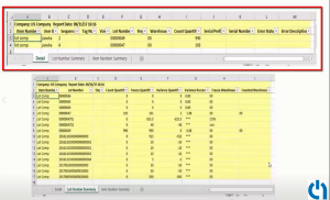 AIM Mobility Physical Inventory app spreadsheet detail tab