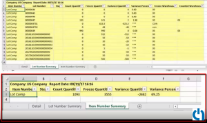 AIM Mobility Physical Inventory app spreadsheet item number summary tab